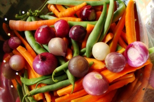 Carrots, green beans and little red onions from the garden on their way to being pickled.