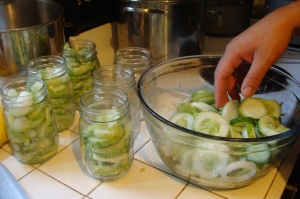 Kevin packs cucumber slices into sterilized jars.