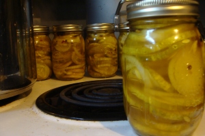 Finished jars of pickles.